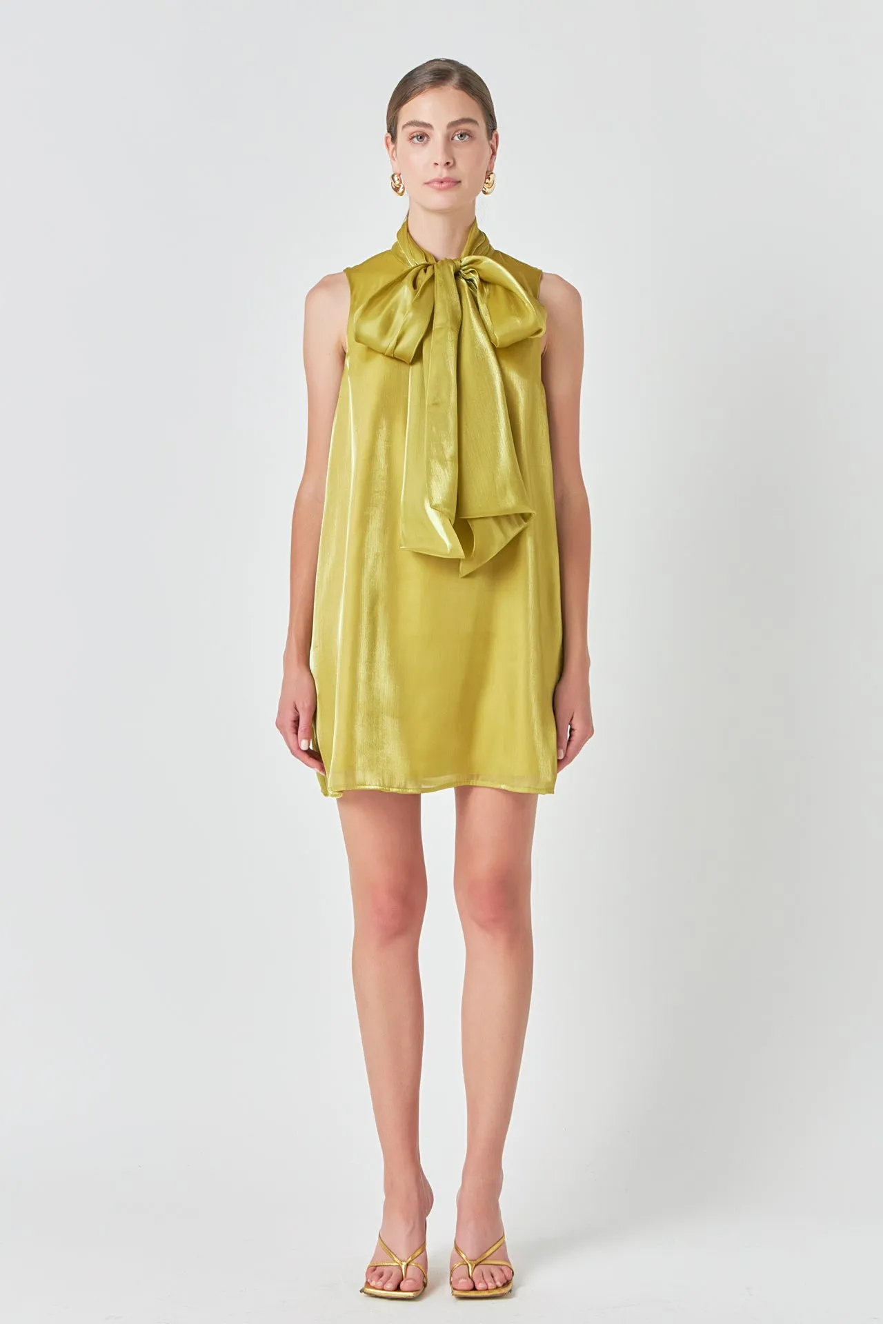 Endless Rose - Organza Mini Dress