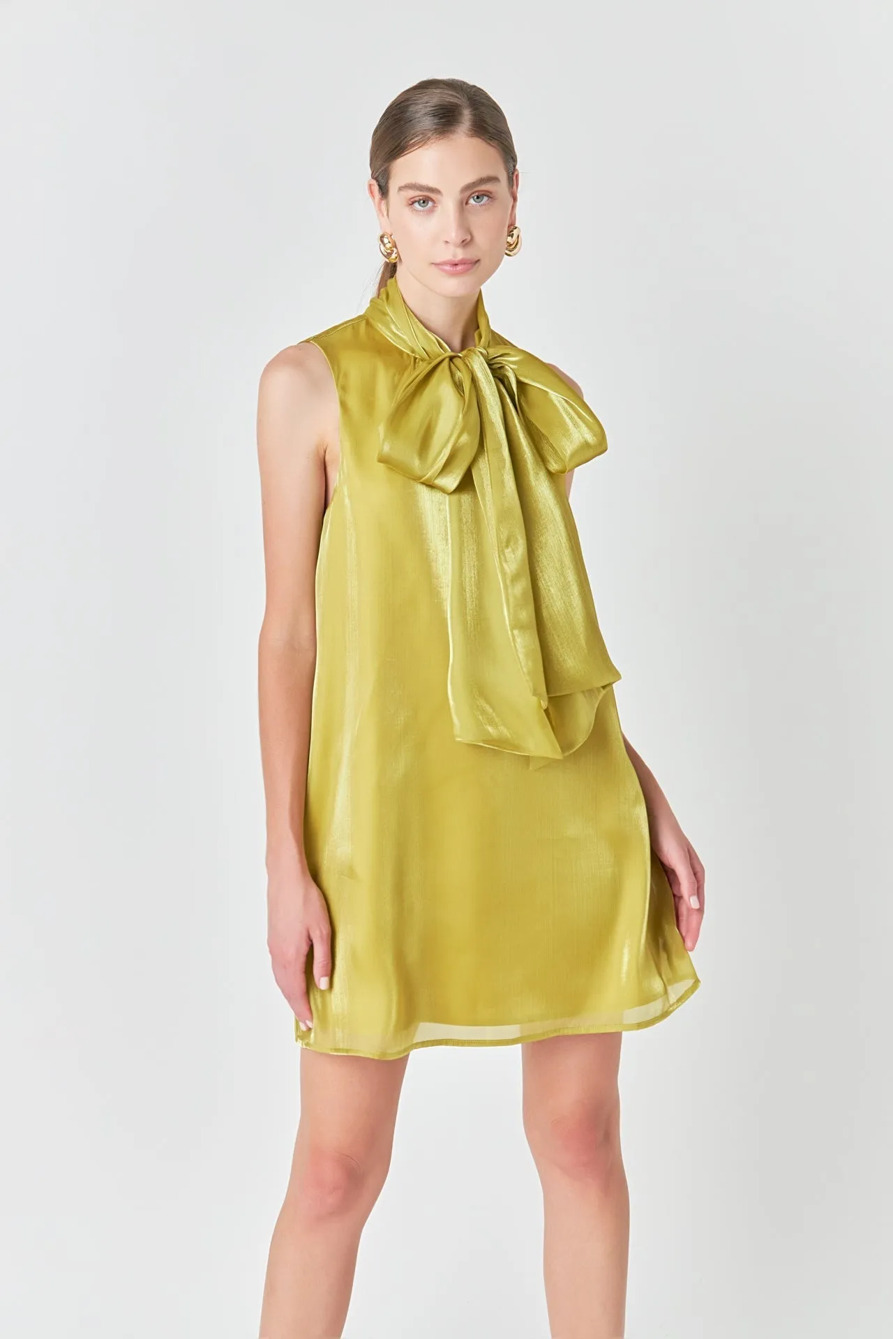 Endless Rose - Organza Mini Dress