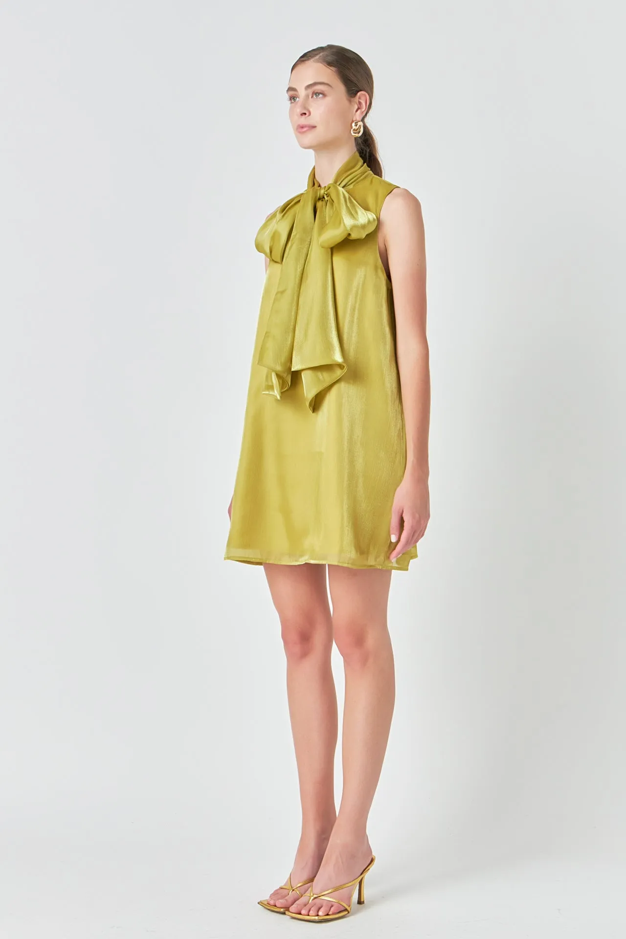 Endless Rose - Organza Mini Dress