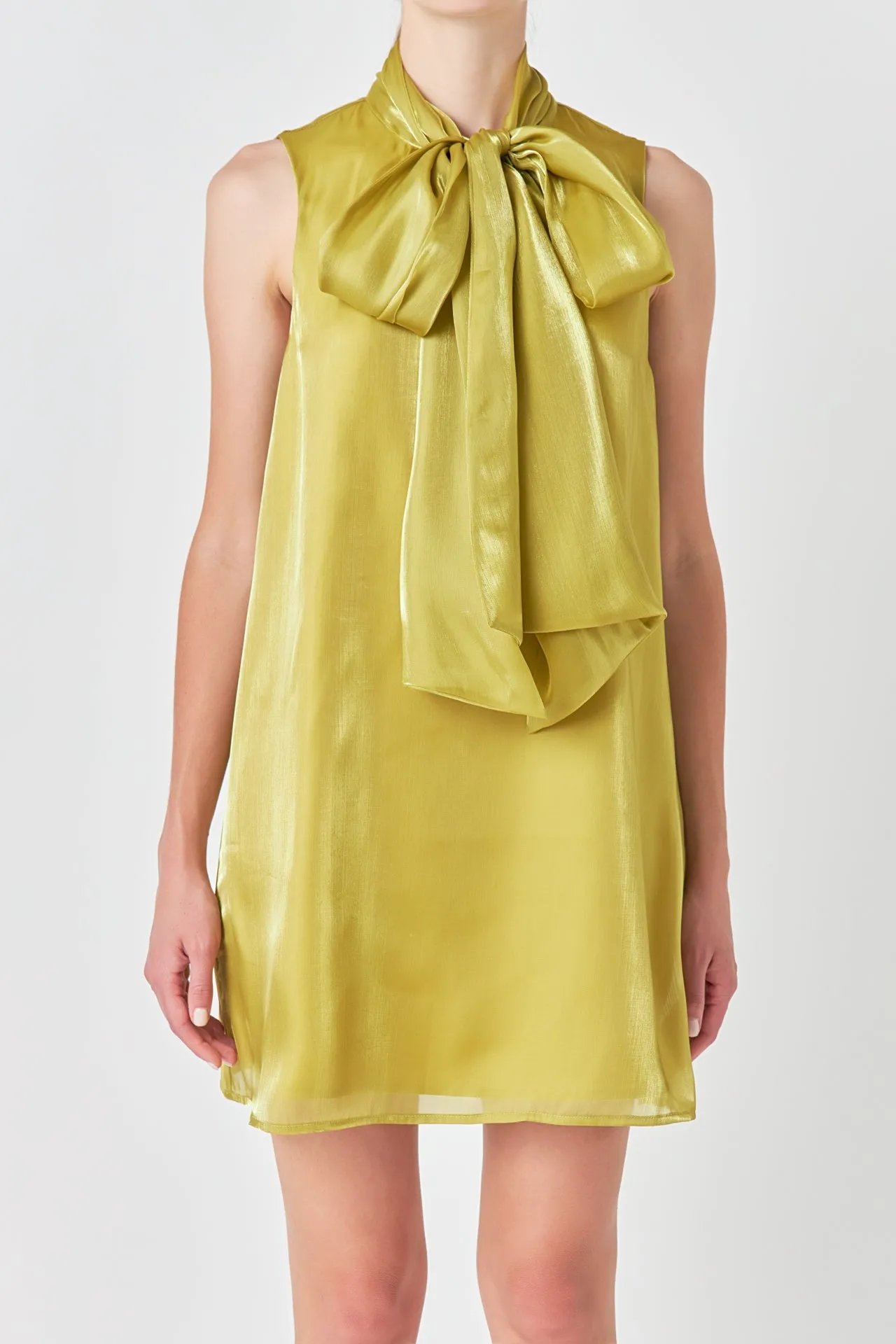 Endless Rose - Organza Mini Dress